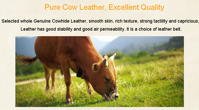 20180905022832_22601